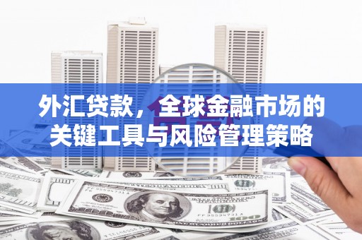 神池外汇贷款，全球金融市场的关键工具与风险管理策略