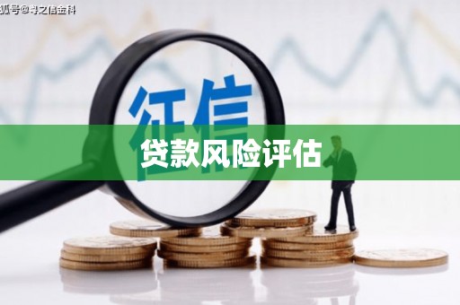 神池贷款风险评估