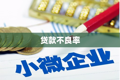 神池贷款不良率