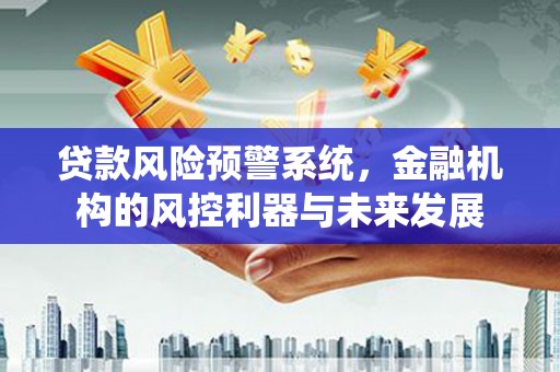 神池贷款风险预警系统，金融机构的风控利器与未来发展
