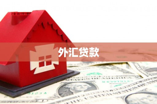 神池外汇贷款