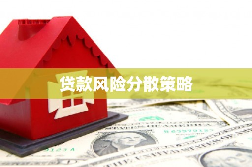 神池贷款风险分散策略