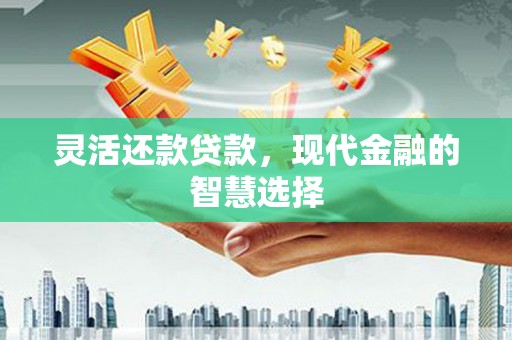 神池灵活还款贷款，现代金融的智慧选择