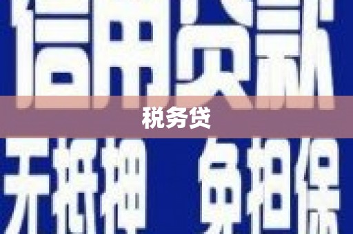 神池税务贷