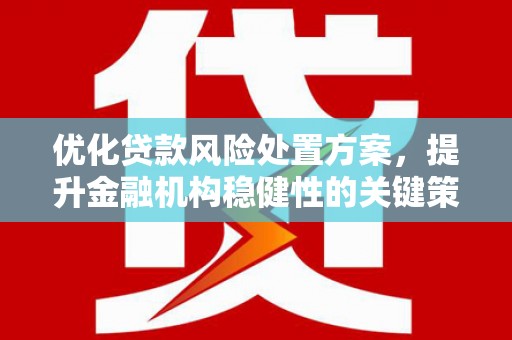 神池优化贷款风险处置方案，提升金融机构稳健性的关键策略