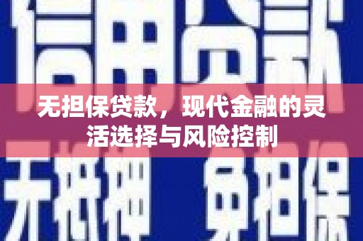 神池无担保贷款，现代金融的灵活选择与风险控制