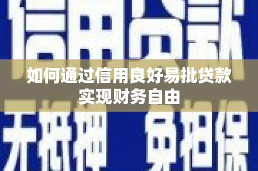 神池如何通过信用良好易批贷款实现财务自由