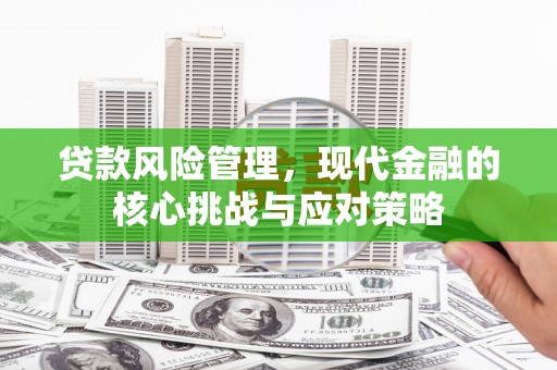 神池贷款风险管理，现代金融的核心挑战与应对策略