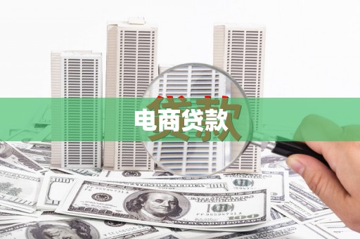 神池电商贷款