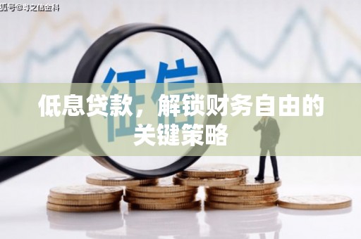 神池低息贷款，解锁财务自由的关键策略