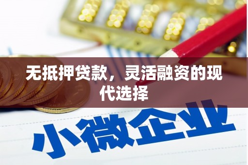 神池无抵押贷款，灵活融资的现代选择