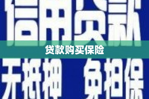 神池贷款购买保险