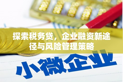 神池探索税务贷，企业融资新途径与风险管理策略