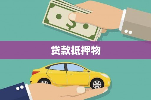 神池贷款抵押物