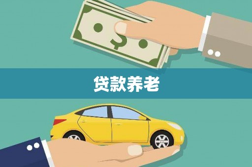神池贷款养老