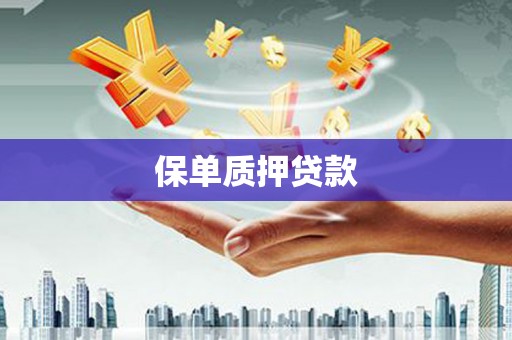 神池保单质押贷款