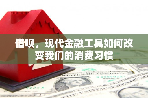 神池借呗，现代金融工具如何改变我们的消费习惯