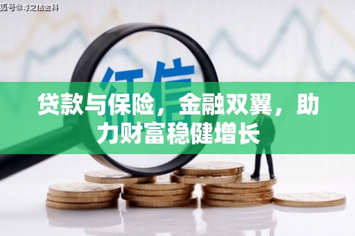 神池贷款与保险，金融双翼，助力财富稳健增长