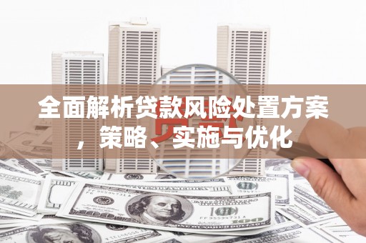 神池全面解析贷款风险处置方案，策略、实施与优化