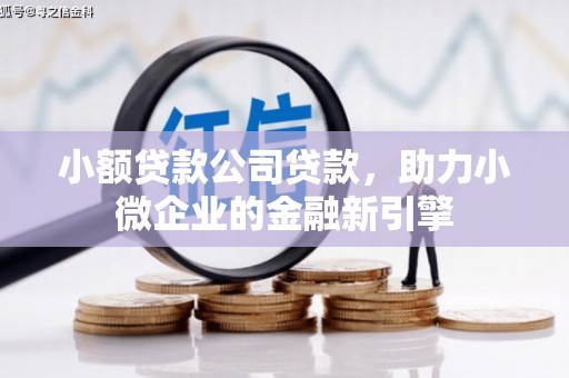 神池小额贷款公司贷款，助力小微企业的金融新引擎