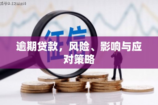神池逾期贷款，风险、影响与应对策略