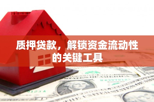 神池质押贷款，解锁资金流动性的关键工具