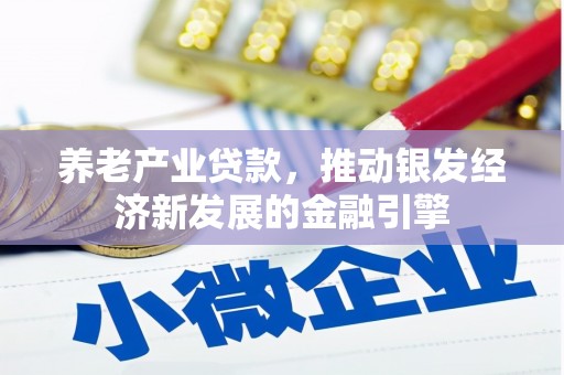 神池养老产业贷款，推动银发经济新发展的金融引擎