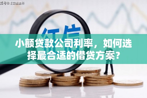 神池小额贷款公司利率，如何选择最合适的借贷方案？