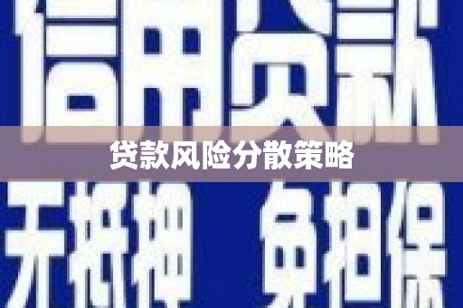 神池贷款风险分散策略
