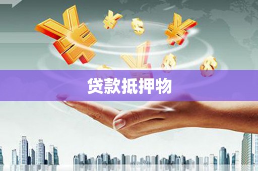 神池贷款抵押物