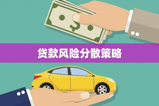 神池贷款风险分散策略