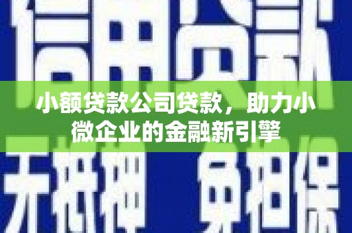 神池小额贷款公司贷款，助力小微企业的金融新引擎