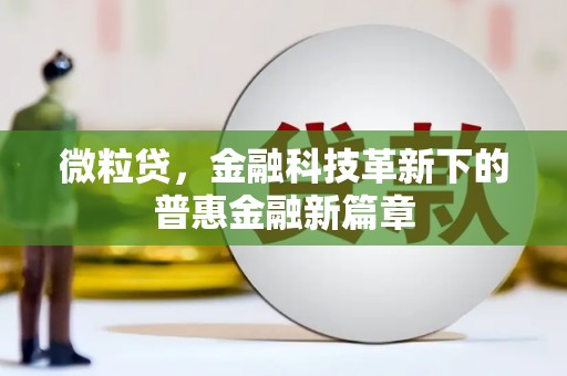 神池微粒贷，金融科技革新下的普惠金融新篇章