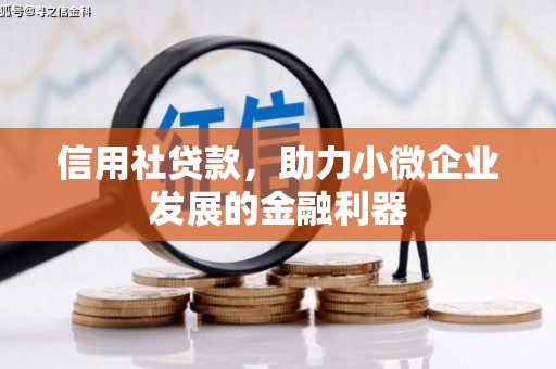 神池信用社贷款，助力小微企业发展的金融利器