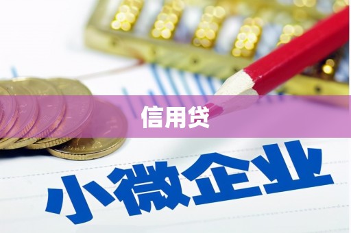 神池信用贷