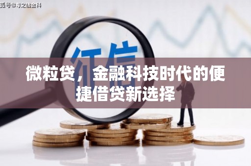 神池微粒贷，金融科技时代的便捷借贷新选择