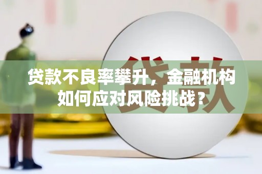 神池贷款不良率攀升，金融机构如何应对风险挑战？