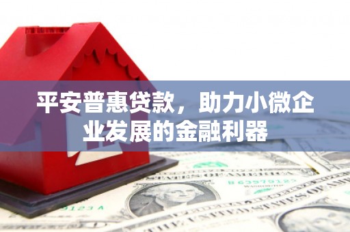 神池平安普惠贷款，助力小微企业发展的金融利器