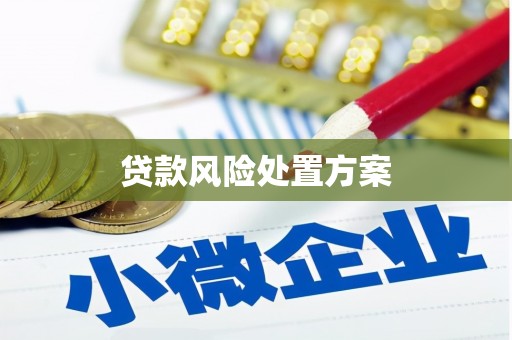 神池贷款风险处置方案