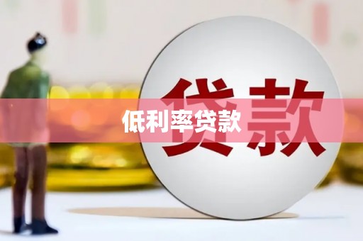 神池低利率贷款