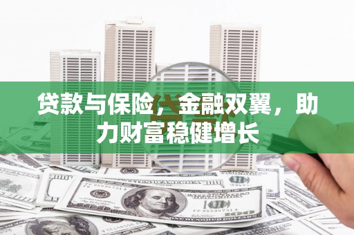 神池贷款与保险，金融双翼，助力财富稳健增长
