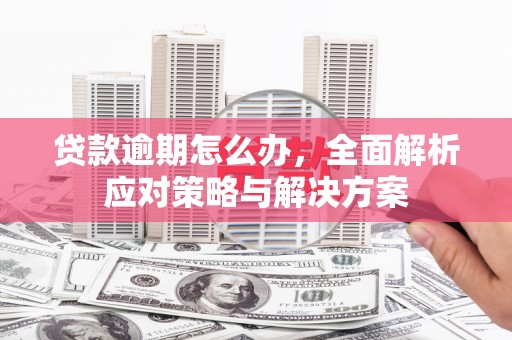 神池贷款逾期怎么办，全面解析应对策略与解决方案