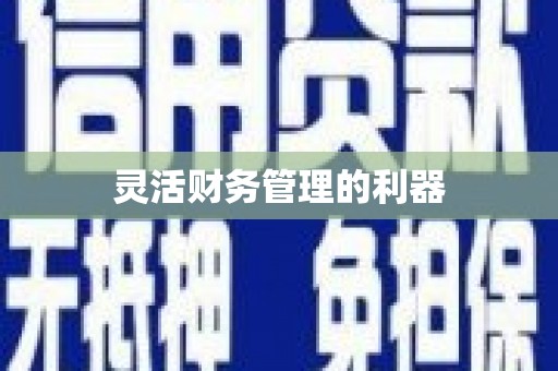 神池灵活财务管理的利器