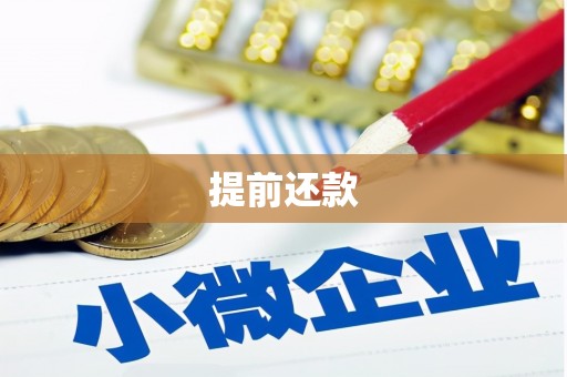神池提前还款