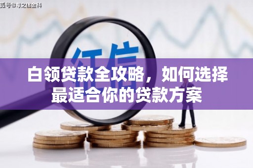 神池白领贷款全攻略，如何选择最适合你的贷款方案